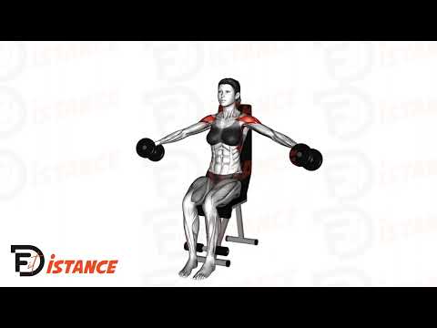Élévations latérales assises avec haltères - Exercice Élévations latérales assises avec haltères en vidéo