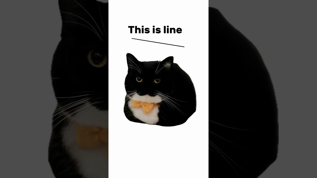 line, nine, wine and…