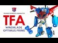 KL變形金剛玩具分享302 進化版動畫 TA 38 飛翼柯博文 Transformers Animated WINGBLADE 