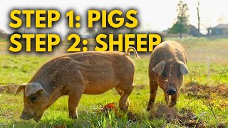 How I’m Building a Self-Sufficient Homestead One Animal at a Time