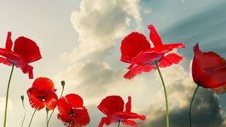 Peaceful Music, Relaxing Music, Instrumental Music "Beautiful World" Austria, By Tim Janis