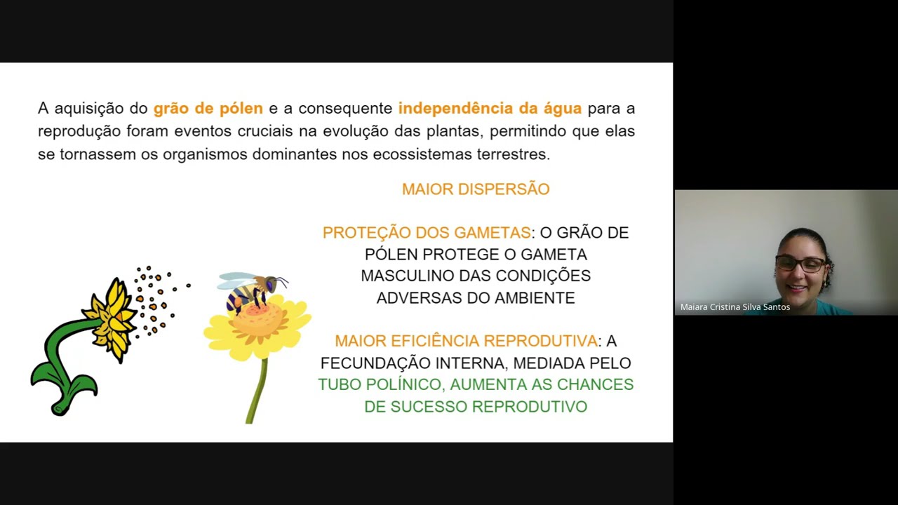 Resolução de exercícios sobre o Reino Plantae - Pré-Enem digit@l - Seduc MT