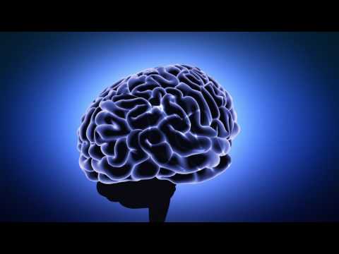 3d Animation  - Medical Brain