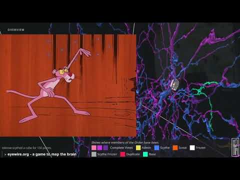 Pink Panther - A Fly In The Pink | Episode 63 (Jun 23, 1971)