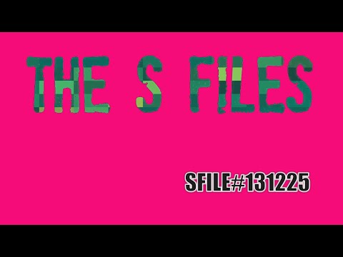 The S-Files #131225 Techno Mix (Late Night Sessions)