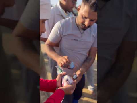 YouTube Thumbnail