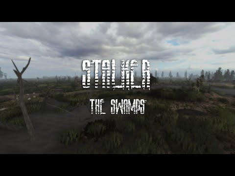 Stalker Anomaly Ambience - Big Swamps - Ambient sounds for studying and working - Dark Atmosphere