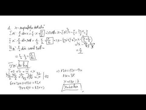 Probleme care se rezolva cu ajutorul ecuatiilor pe etape de rezolvare