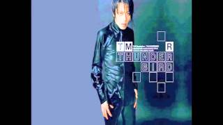 THUNDERBIRD (hiroka Remix) - T.M.Revolution