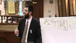 Mordechai Kraft (rabbi) : The Hebrew Letters of the Torah are the DNA of Creation