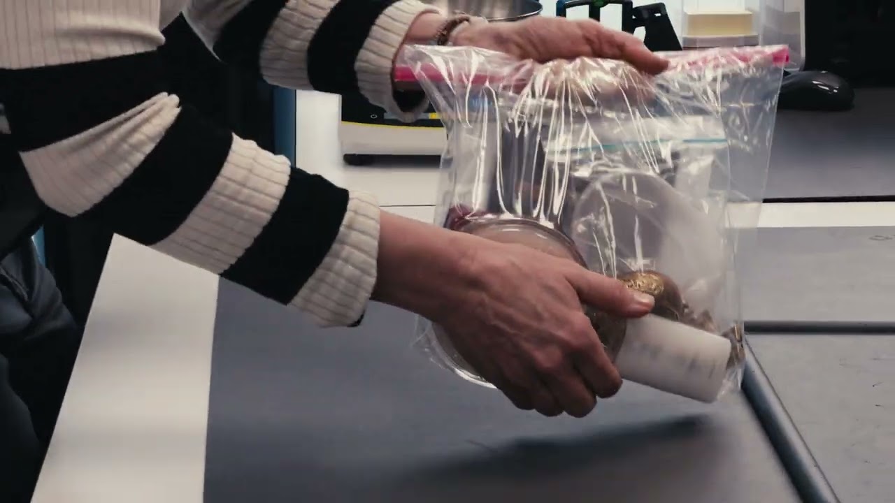 Goldhaus Imagefilm — Zweiter Film
