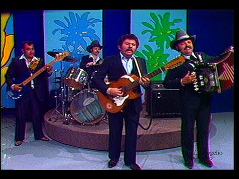 Ramon Ayala y los Bravos del Norte - "Mi golondrina"