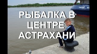 Ссылка
