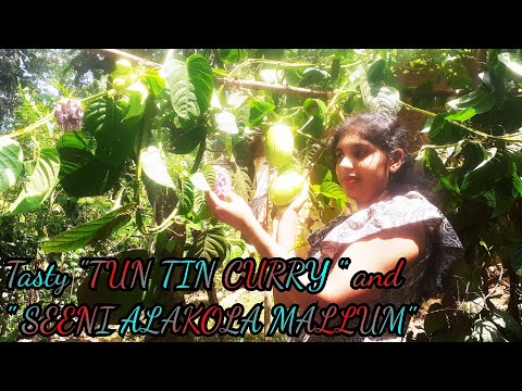 Tasty "TUN TIN CURRY " and "ALAKOLA MALLUM"