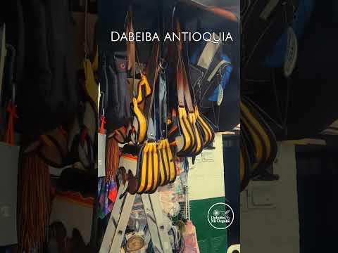 Ayudemen a Compartir este video para que todos conozcan un poquito de Dabeiba antioquia #antioquia