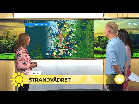Strandvädret "Ovanligt höga temperaturer i hav och sjö" - Nyhetsmorgon (TV4)