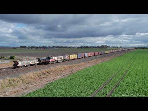 7922V SCT / SBR Dooen Container Train Passes A Pacific National Grain Train (7/8/2023) - PoathTV