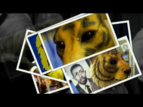 CHS Class of 61 Slideshow Trailer