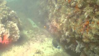 Canyon da Ilha Rasa de fora-Guarapari-ES