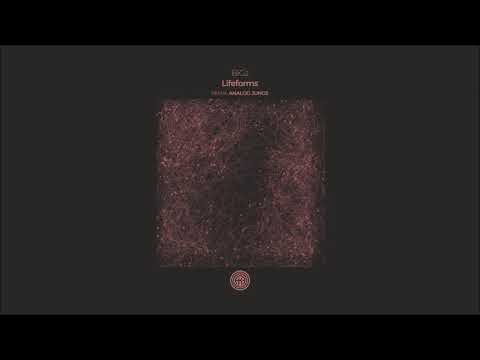 BiGz, Big Al - Lifeforms (Dub Mix)