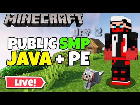 EPIC Xp Farm Build in Lifestyle SMP 🤯| Minecraft