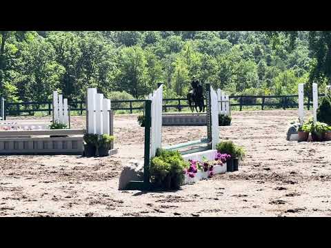 For Austria video 4