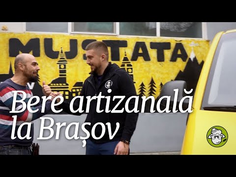 Bere la Mustață - bere artizanală - MallȚărănesc