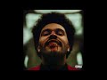 The Weeknd - Save Your Tears (Instrumental)