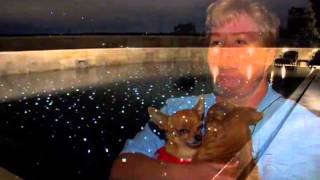 FiberStars Star Floor