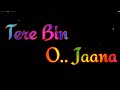 Jab Tere Bagair Jeene Ka Song Whatsapp Status Pawandeep And Arunita Kanjilal Song Status