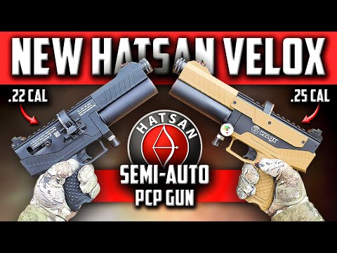 Hatsan Blitz PCP Air Rifle Review and Shooting Test