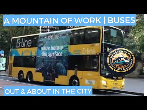 Out & About With Sydney's Buses | NSW | Buses