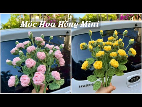 Hoa hồng mini, hoa hồng tỉ muội