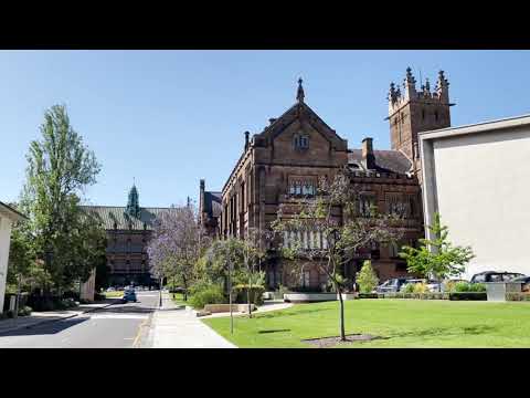 Capítulo 223: Universidade de Sydney | Viaje em casa, meu ha!