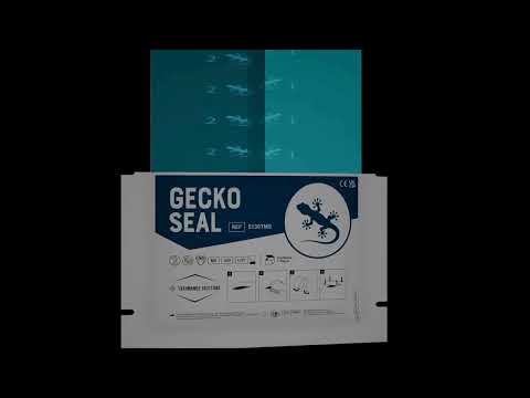Gecko Seal