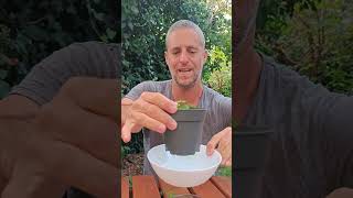 איך מעבירים שתיל נענע שהשרשנו במים לתוך עציץ עם אדמה?  (סרטון הדרכה ארוך)