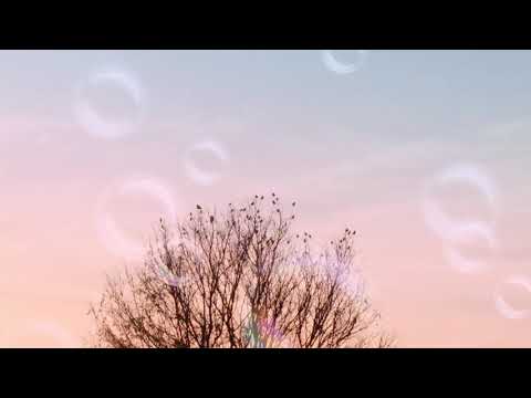 Bettadanagenahalli nature