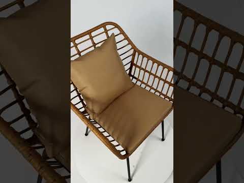 Youtube-видео 