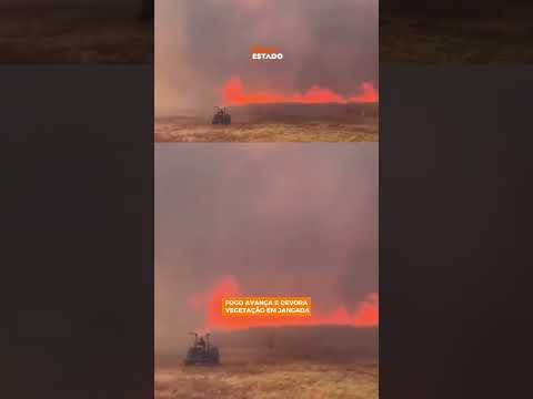 Um incêndio de grandes proporções atinge uma extensa área de vegetação em Jangada, em MT