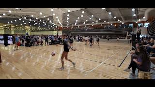 HVC 16 Purple vs. Vienna Elite 16 Black