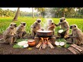 Fantasy Monkeys Cooking A Picnic AI Cinematic Video Jungle Cooking