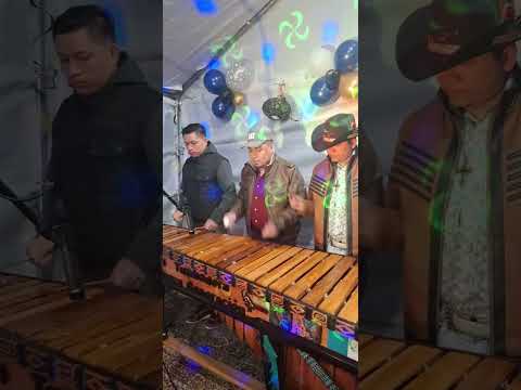 El tacuazin #chiquimula #guatemala #olopa #baile #estadosunidos #marimba #bailes