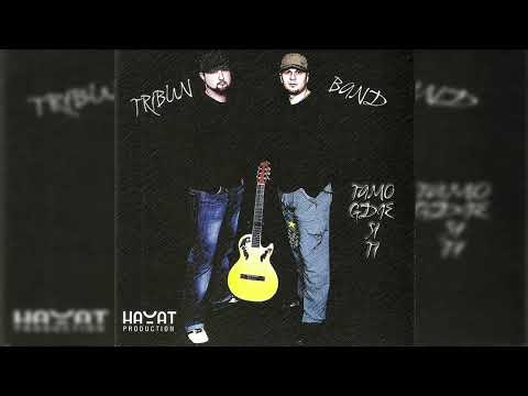 Tribun band ft. Dr. Zo – Da te volim ne daju [Official Audio]
