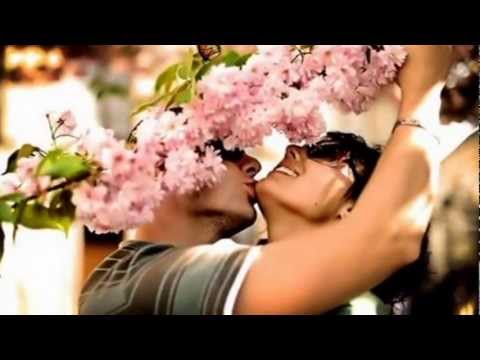 Joanna Zagdańska   Rękawiczki