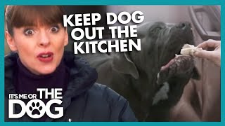 How To Keep Dogs Out Of The Kitchen | It&#39;s Me Or The Dog