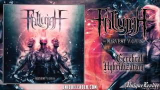 Fallujah-Cerebral Hybridization