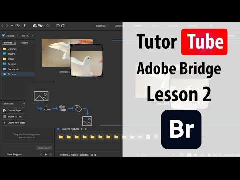 Adobe Bridge Lesson 1 Adobe Bridge Interface