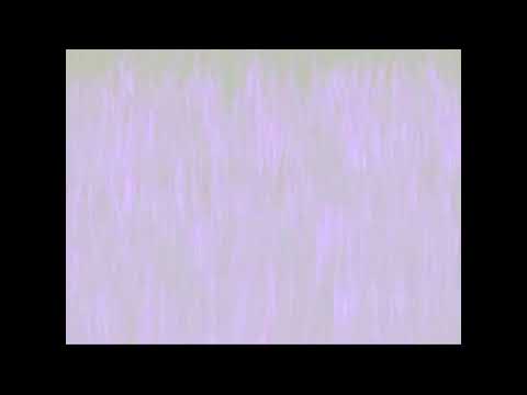 Llama Blanca Visualización y Llave Tonal (Ascensión, Pureza, Resurrección y Concepto Inmaculado)