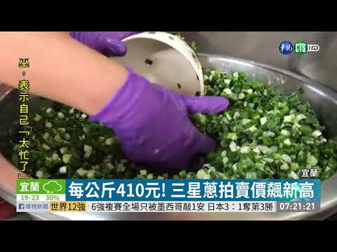 每公斤410元! 三星蔥拍賣價飆新高