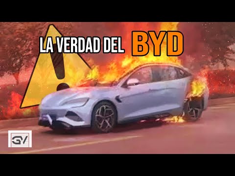 This is the real problem with BYDs! What no one tells you!